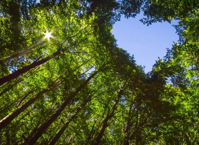 sustainability